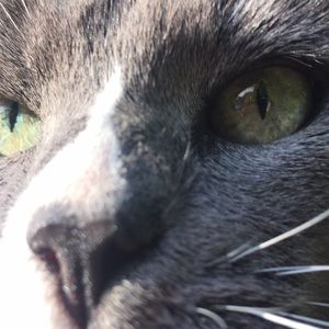 Meet your Posher, Gwendolyn